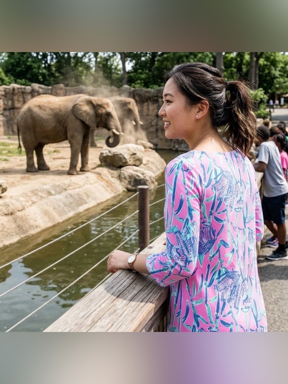 Lilly Pulitzer Elephant Print Dress
